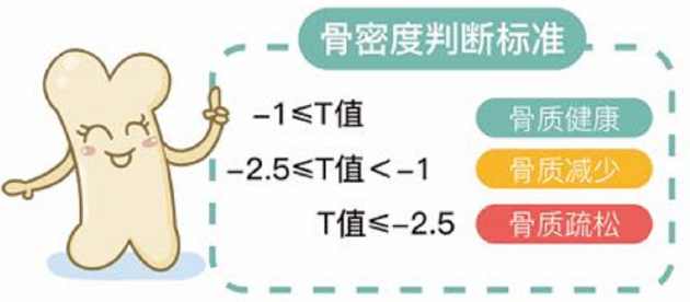 超声波骨密度仪生产厂家 超声波骨密度仪