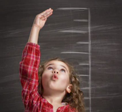 超声骨密度检测仪品牌 超声骨密度仪品牌