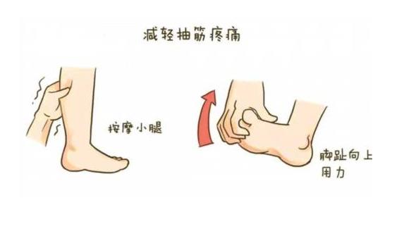 619国康超声骨密度仪厂家关注:小腿抽筋怎么办?一定是缺钙吗?