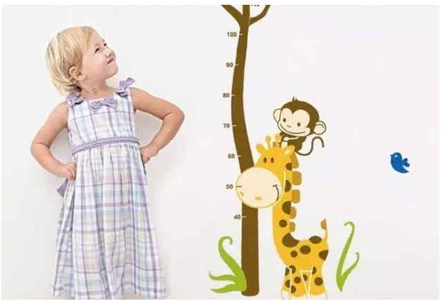 国康便携式骨密度检测仪资讯-骨密度和身高之间有关系吗?会影响长高吗?